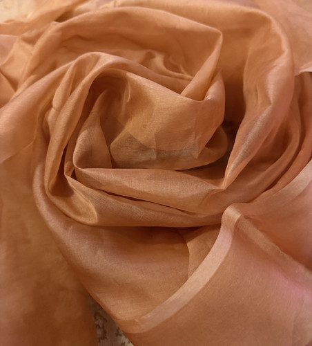 100 reine seide organza - reine,