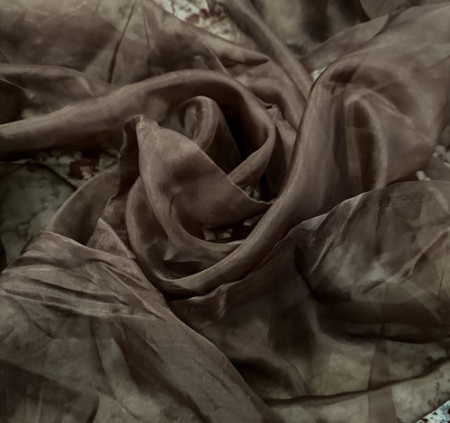 100 reine seide organza - reine,